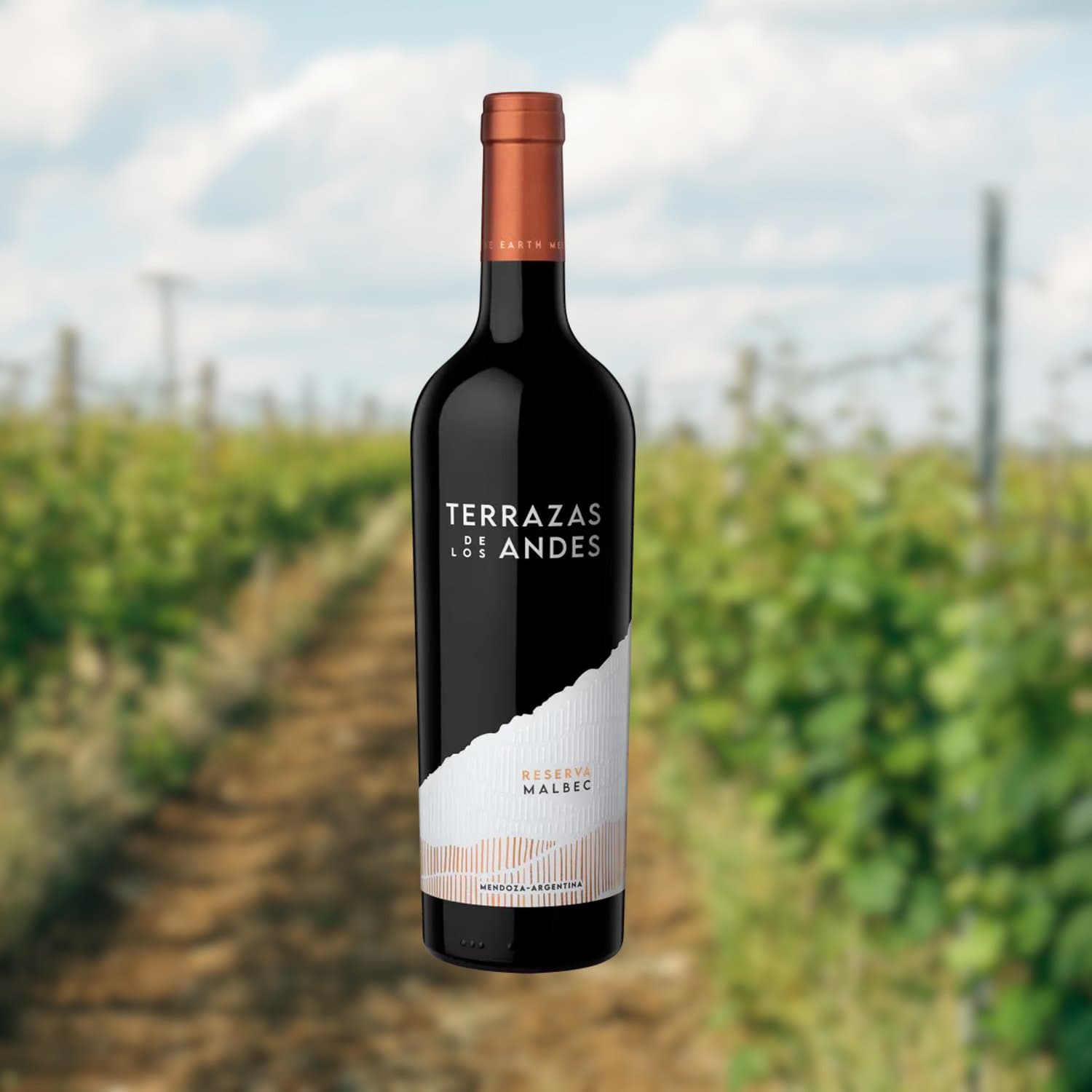 1/3 Terrazas Reservas Malbec