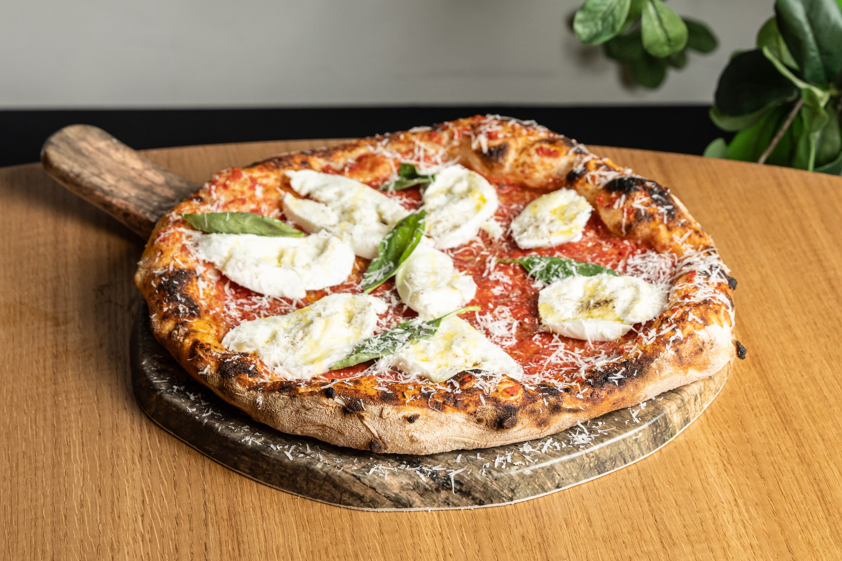Pizza Margherita Napolitana