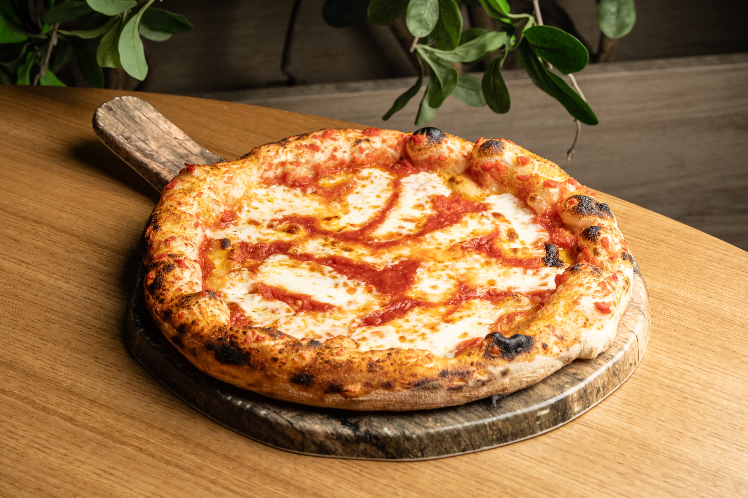 Pizza Margherita