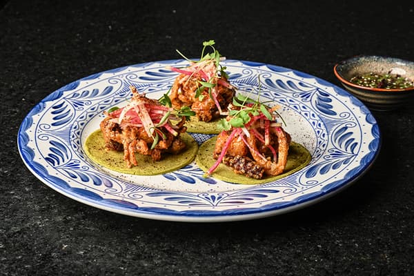 Taco Tentacles