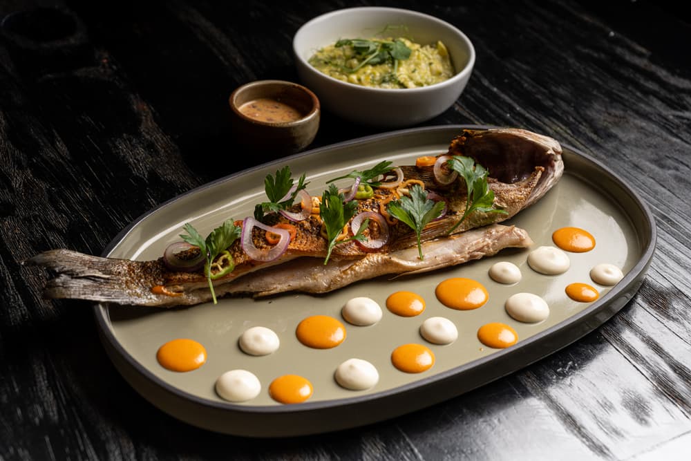 BRANZINO ACEVICHADO