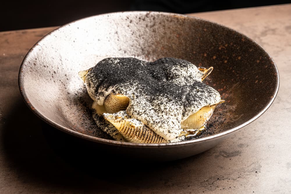 CONCHINGLIONI DE SHORTRIB